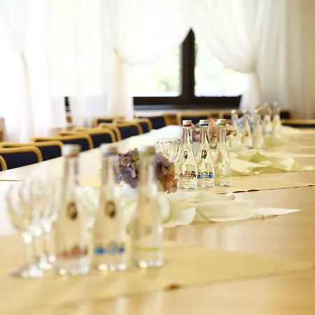 Sorea Lubovna Отель Стара-Любовня