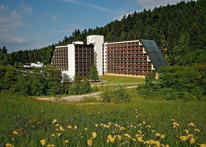 Sorea Lubovna Otel 2*